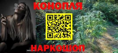прущие крисы Севастополь